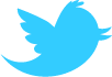 Twitter Icon